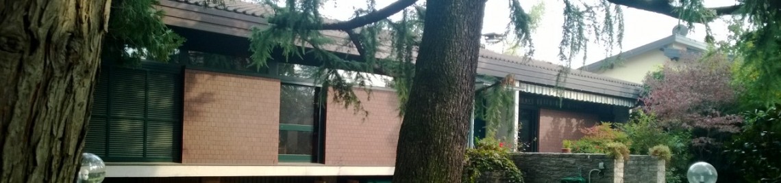 cropped-WP_20131019_025.jpg